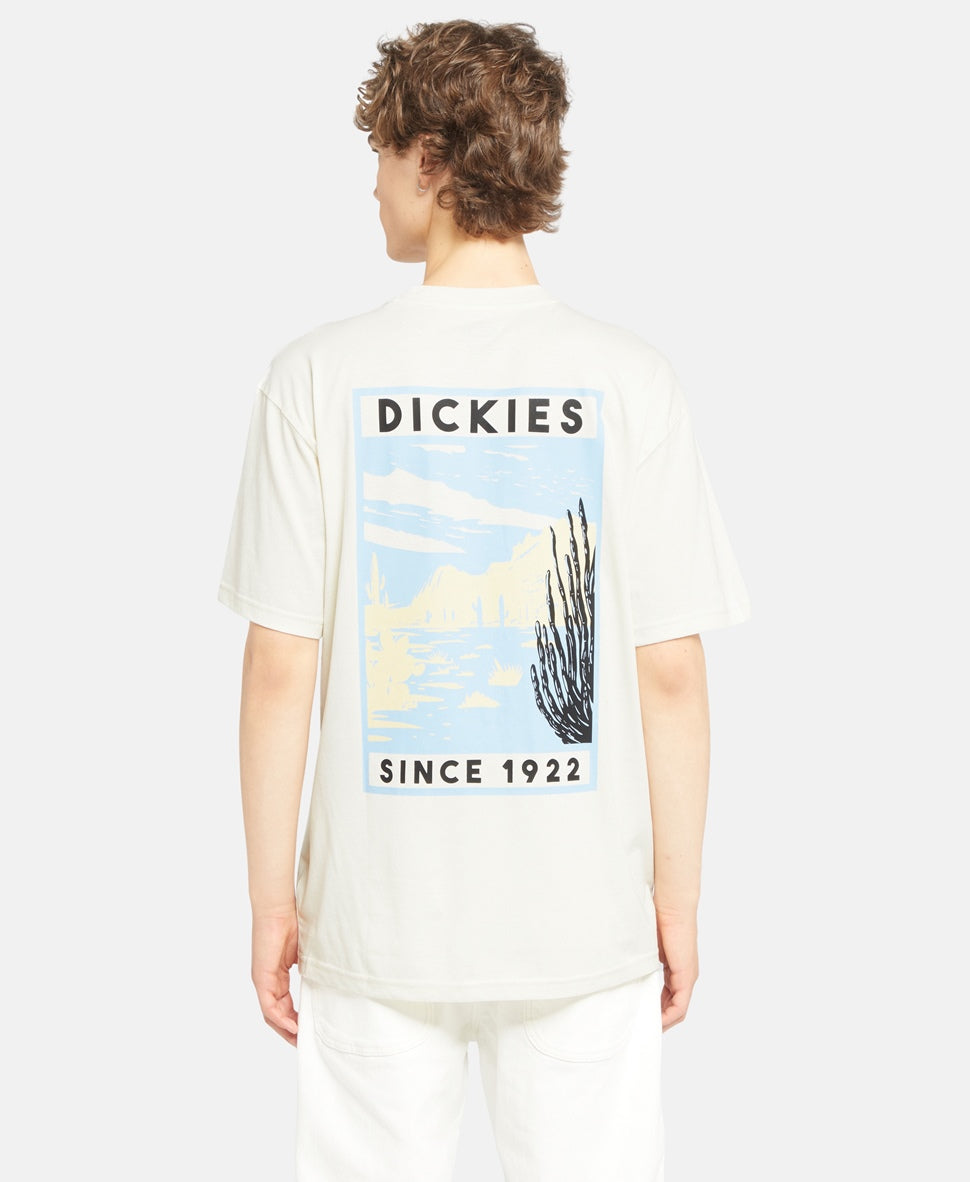Dickies T-shirt σε λευκό - Anna shoes & more