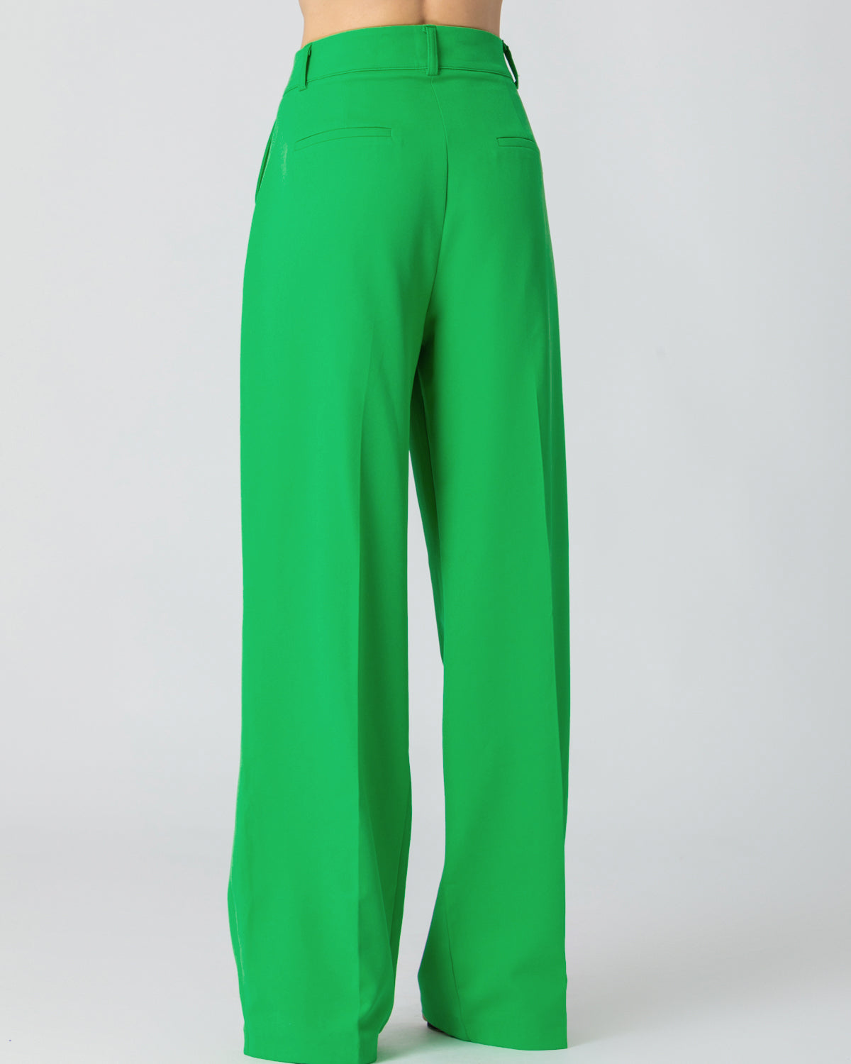 High-waisted trousers - Anna shoes & more